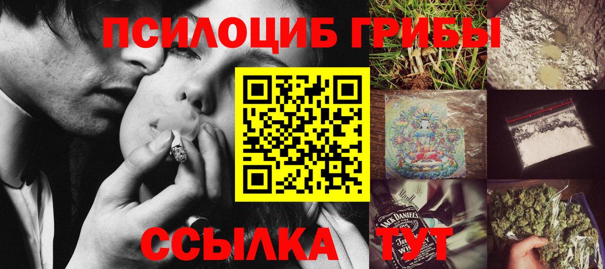 Михайловка  Галлюциногенные грибы Psilocybine cubensis  купить наркотик  Вход с VPN 