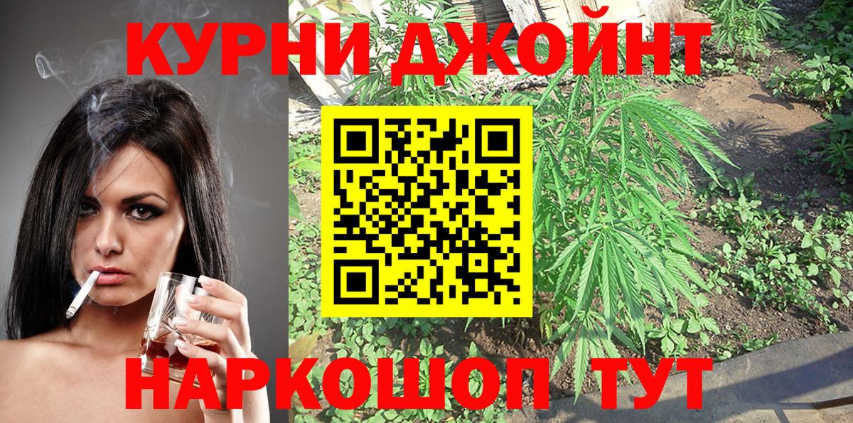 Бошки Шишки семена Михайловка